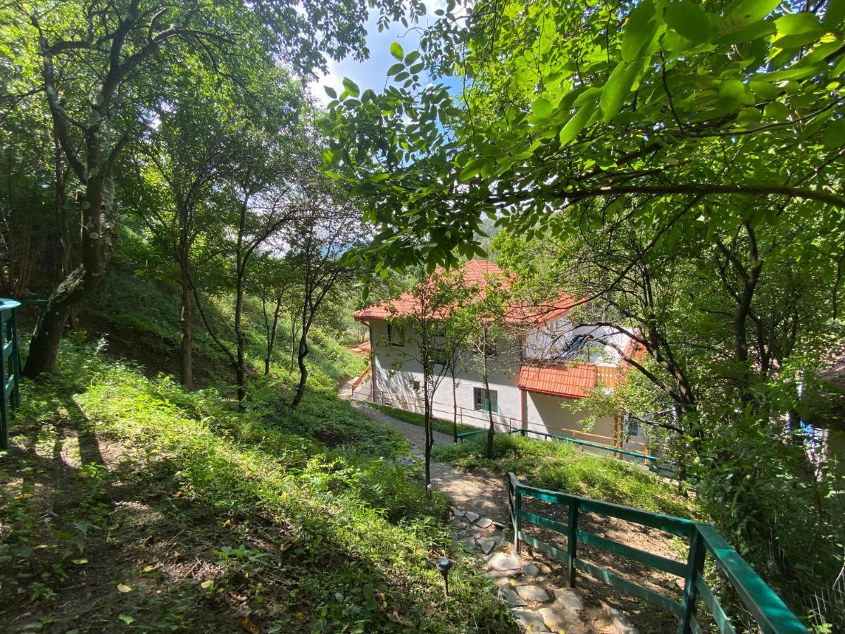 Casa Lila Bed and Breakfast Colti Exteriör bild
