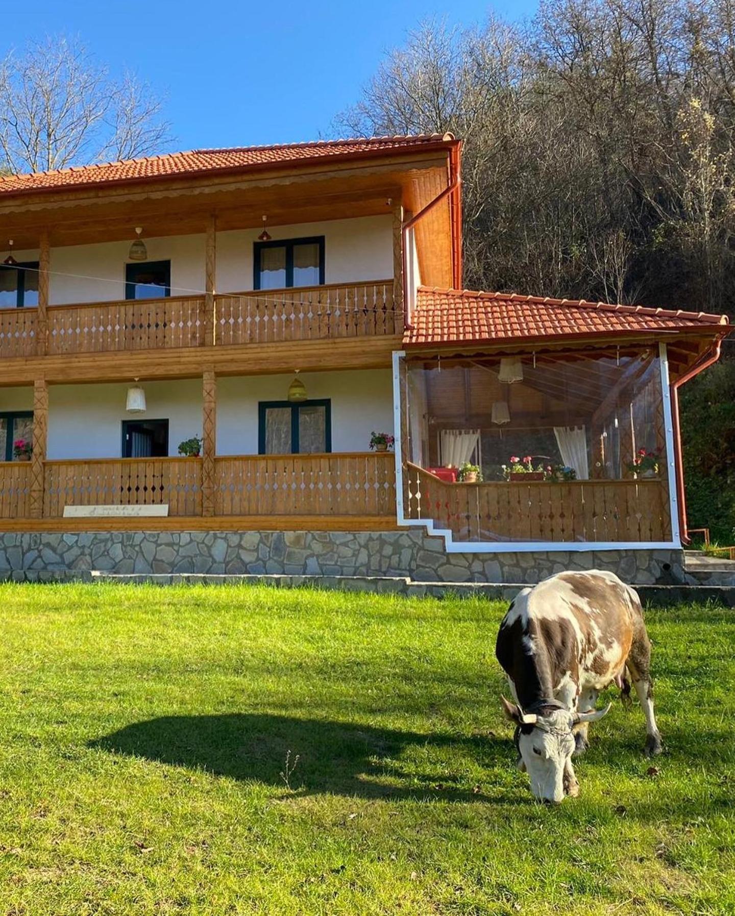 Casa Lila Bed and Breakfast Colti Exteriör bild